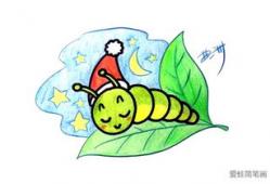 毛毛虫视频,从幼虫到蝴蝶的奇幻之旅