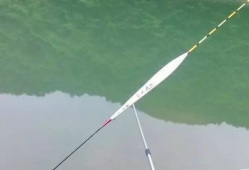 钓鱼调漂视频,视频教程深度解读