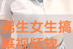 女人搞基视频,一场关于友谊与情感的基情之旅